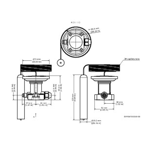 Danfoss 067G3305 Elemento Termostatico para Valvula Expansion TE 55 para R404, R507 Puerto Ecualizador 1/4 MOP -20C Rango Temp -60C a -25C Capilar 3m